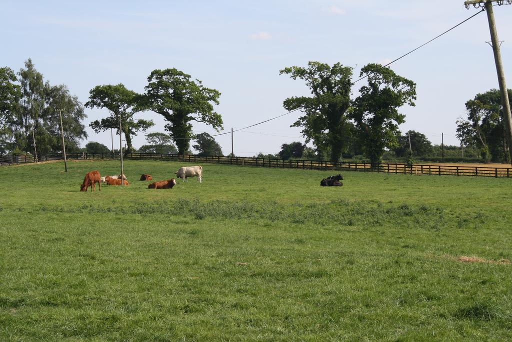 Moate Lodge Athy Bagian luar foto