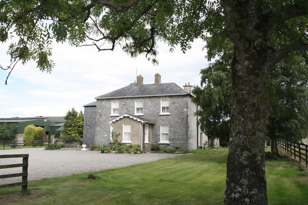 Moate Lodge Athy Bagian luar foto